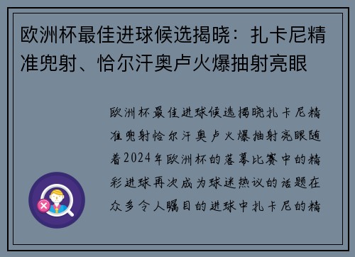 欧洲杯最佳进球候选揭晓：扎卡尼精准兜射、恰尔汗奥卢火爆抽射亮眼