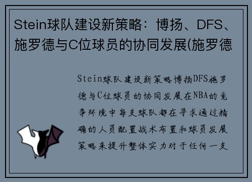 Stein球队建设新策略：博扬、DFS、施罗德与C位球员的协同发展(施罗德 cba)